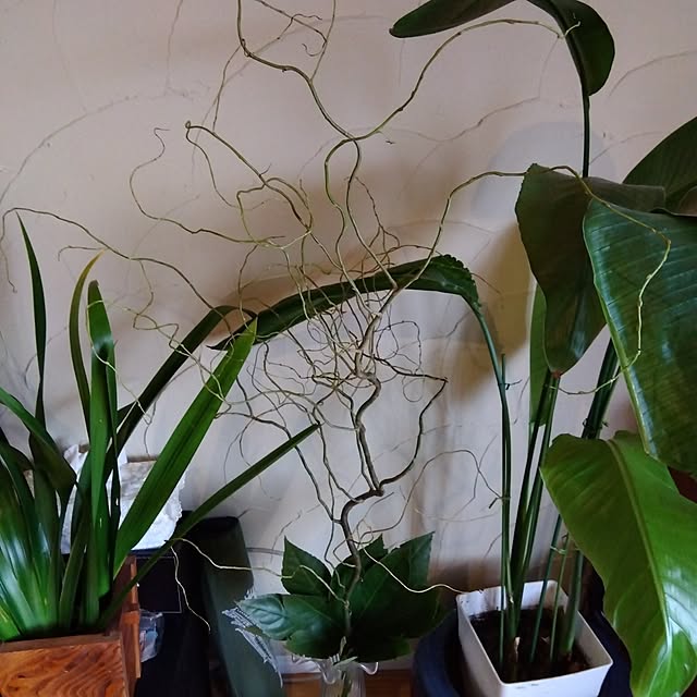 coco1204さんの部屋