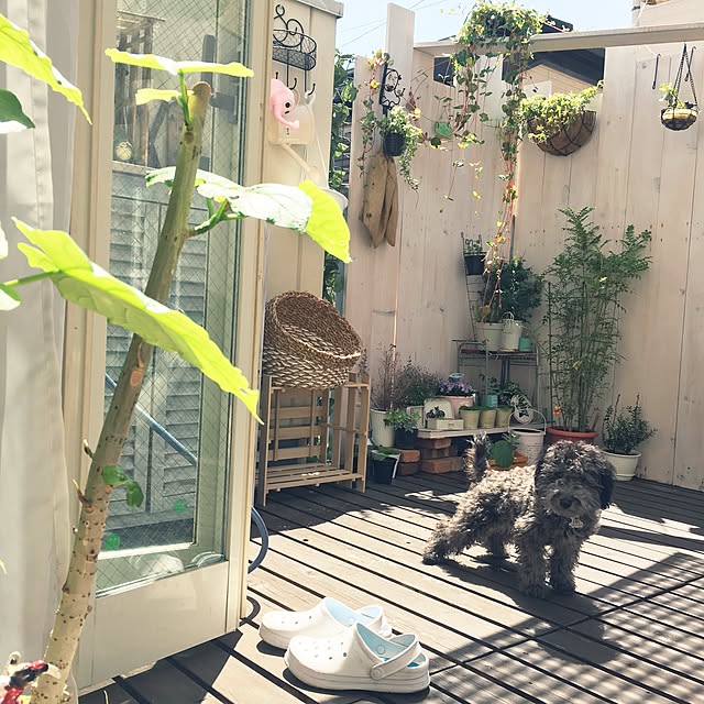 makoriさんの実例写真