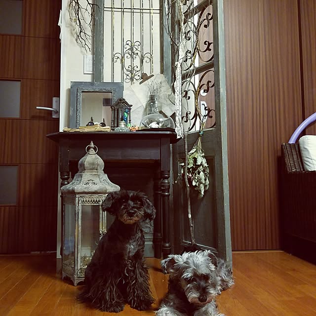実例写真