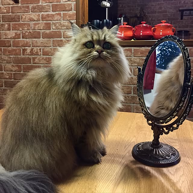 butachanさんの実例写真
