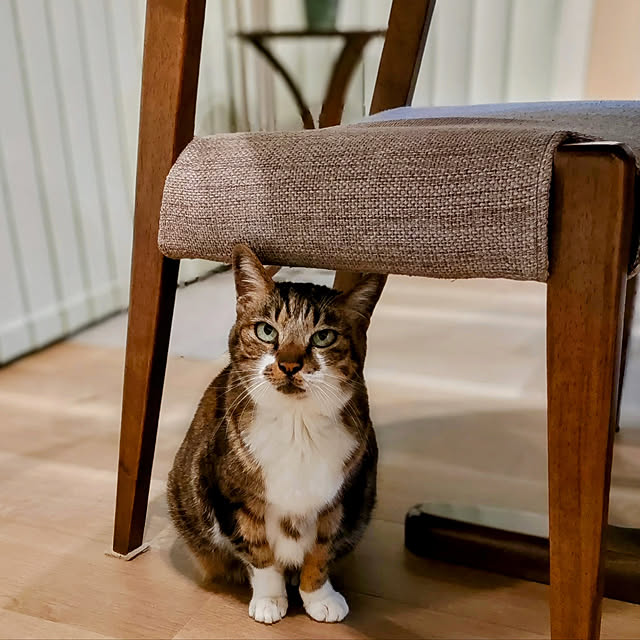 houenさんの実例写真