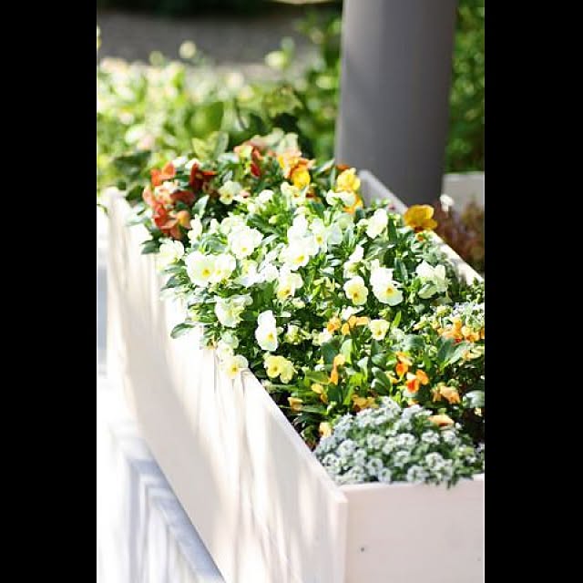 garden_life_saiさんの実例写真