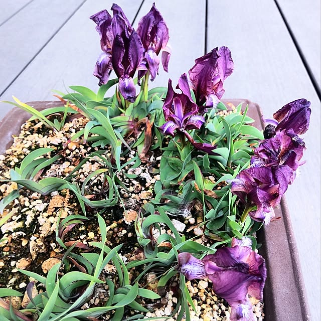 NSDさんの実例写真