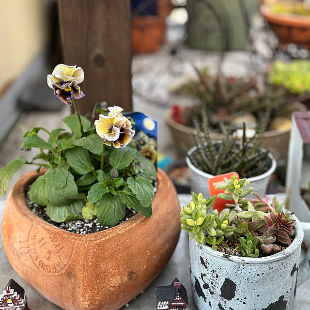 monasanさんの部屋