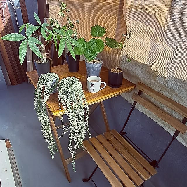 noaさんの部屋