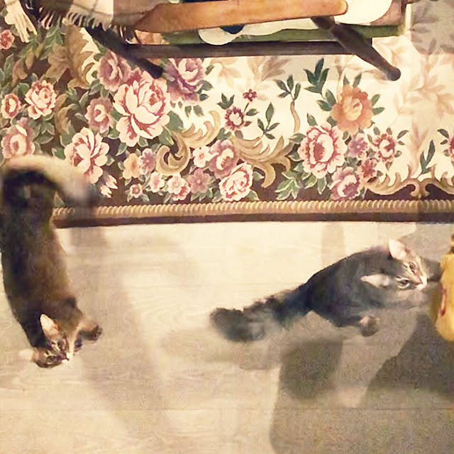 paradise_viewさんの実例写真