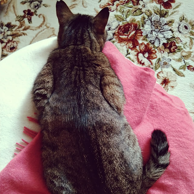 lilyさんの実例写真