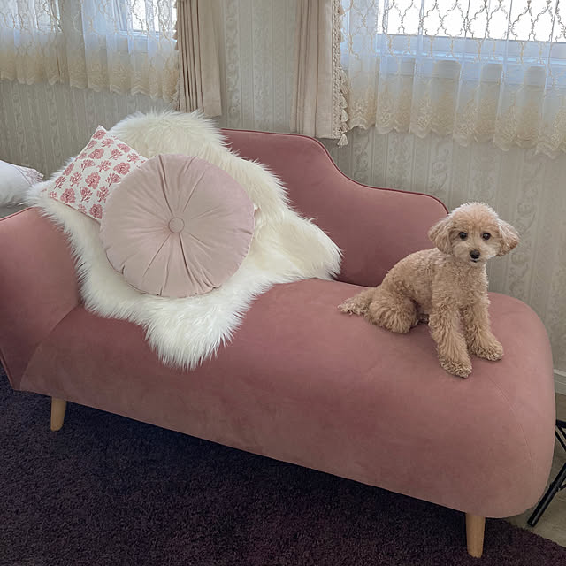 namixcharmさんの実例写真