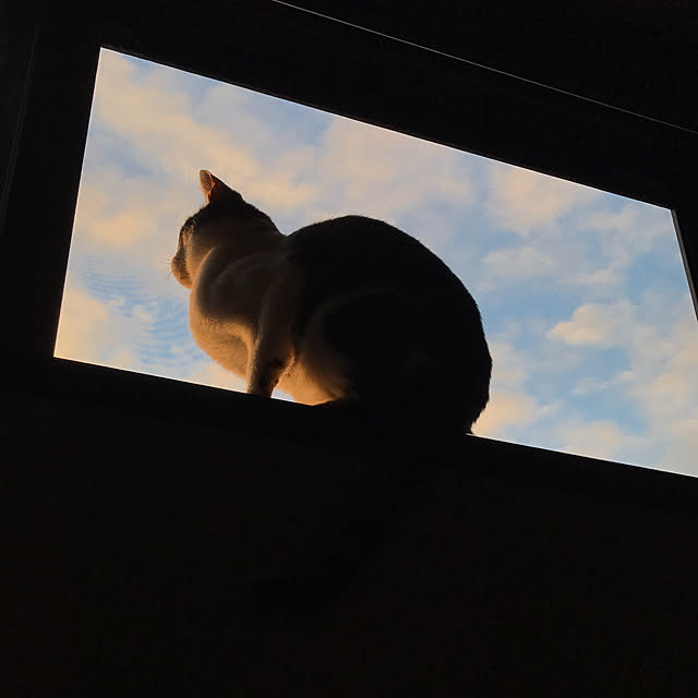 nsugi0710さんの実例写真