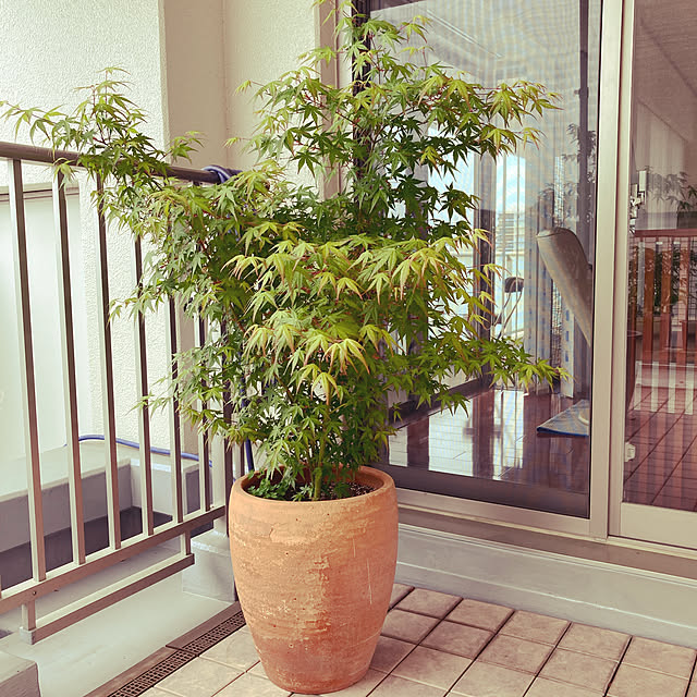 minmiさんの実例写真