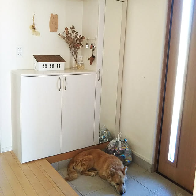 kaoriさんの実例写真
