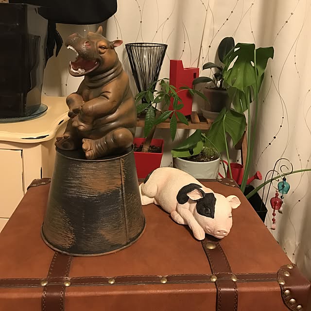 Mさんの実例写真