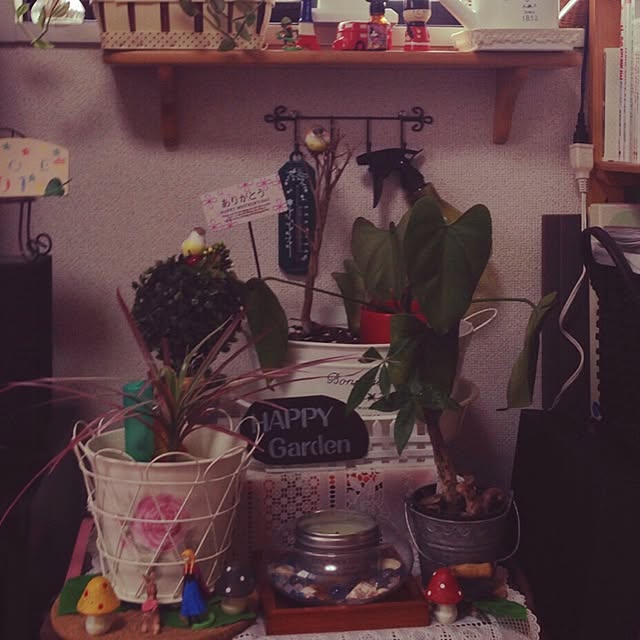 love1231さんの実例写真