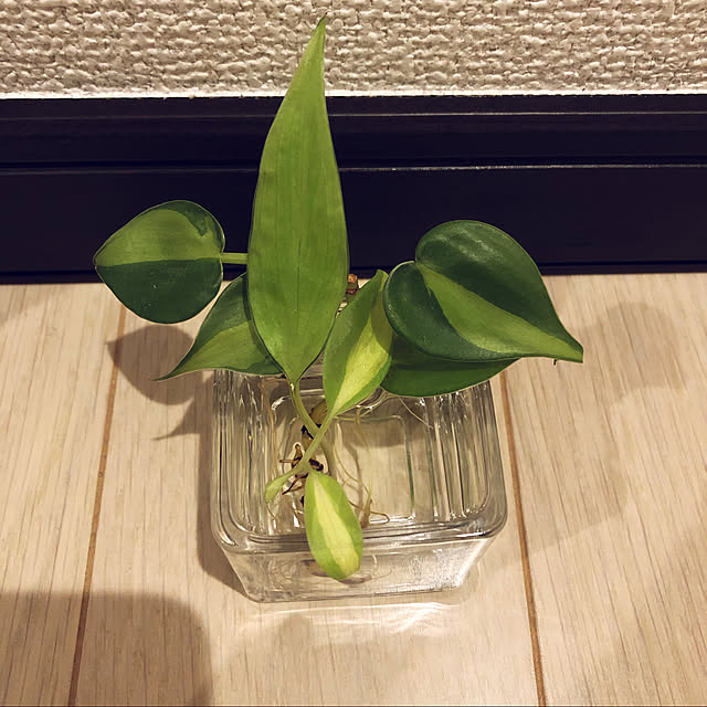 airwaveさんの実例写真