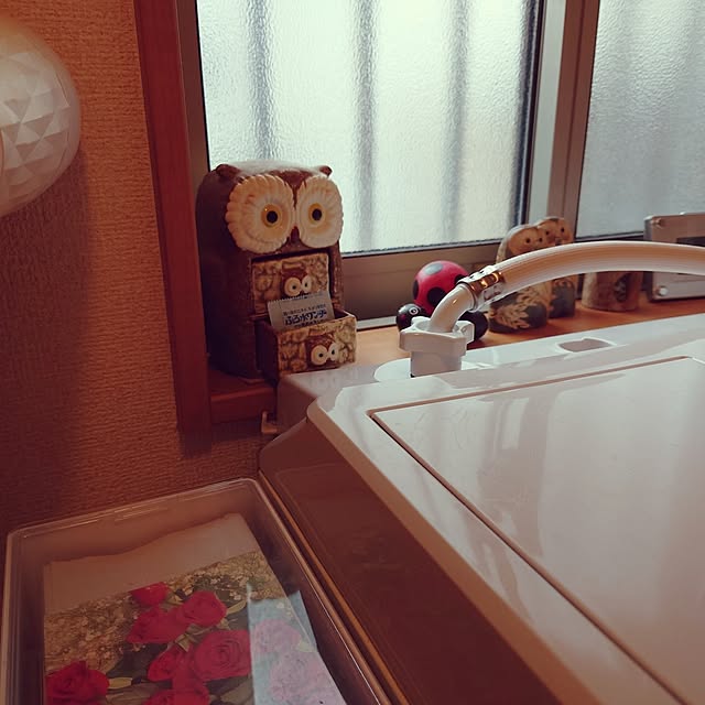 noguriさんの実例写真