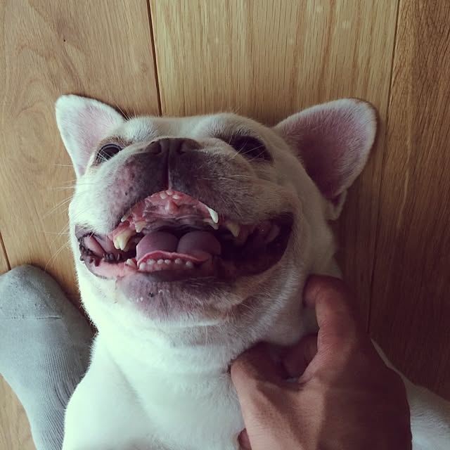 koheyさんの実例写真
