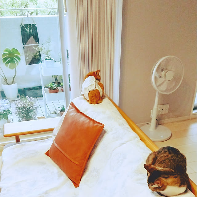 hanacocoさんの実例写真