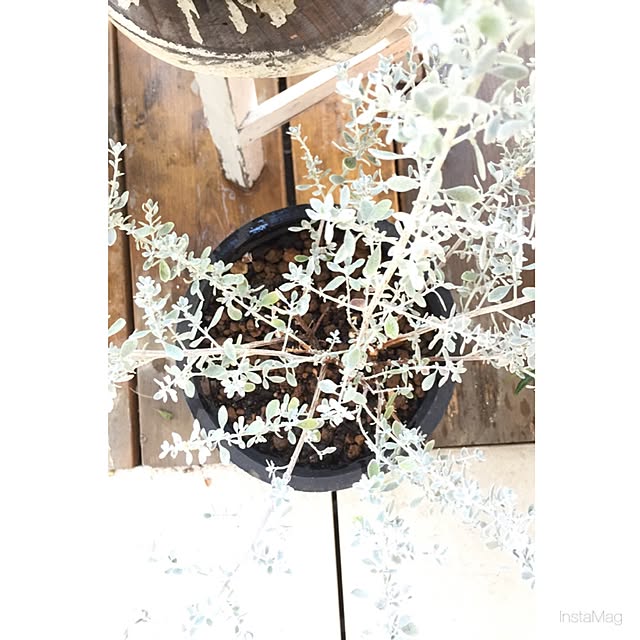 Hisayoさんの実例写真