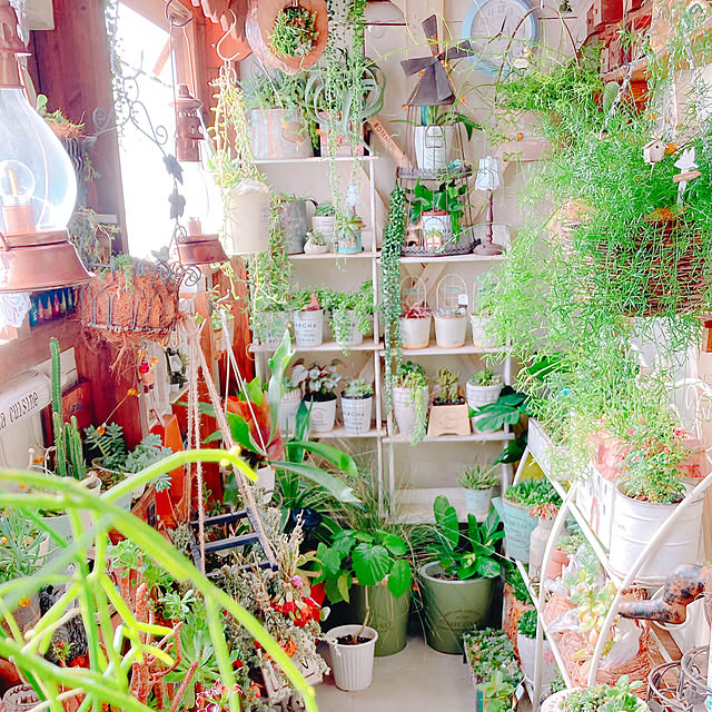 Hanakaさんの部屋