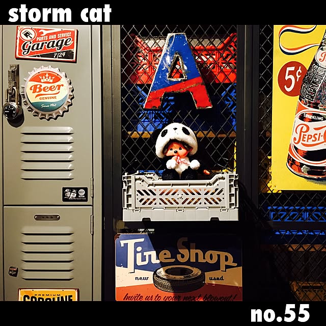stormcatさんの実例写真