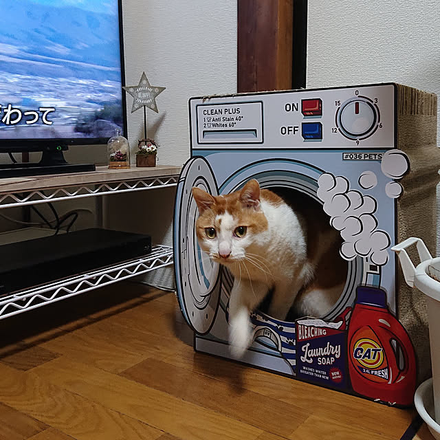 mugi77327732さんの実例写真
