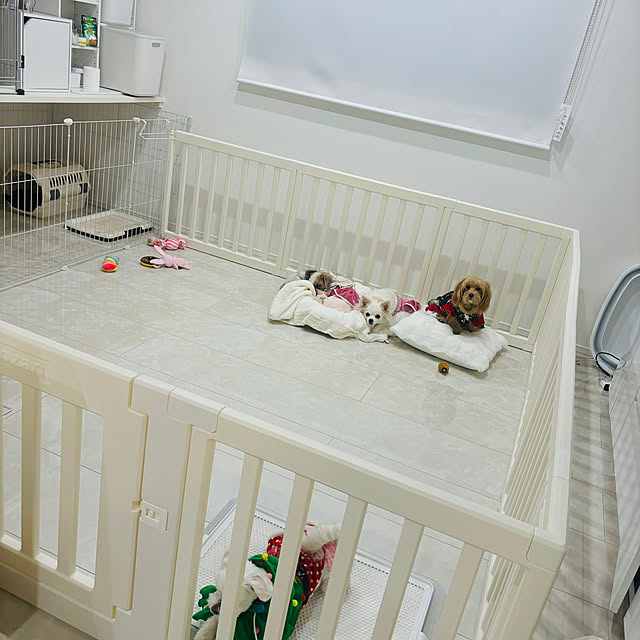 kakikuさんの部屋