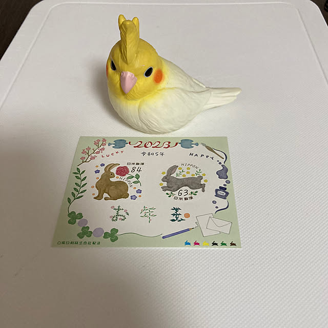 toratanさんの実例写真