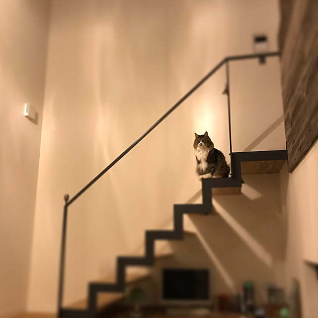 micさんの実例写真