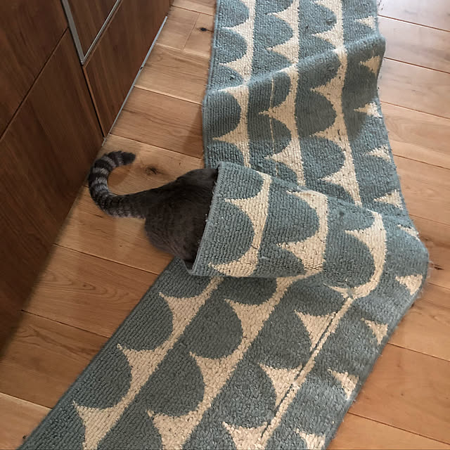 kuu511さんの実例写真