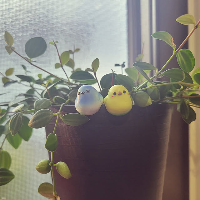 natuさんの実例写真