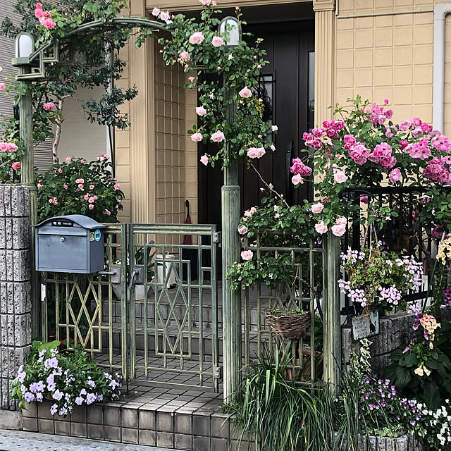 sakuraさんの部屋