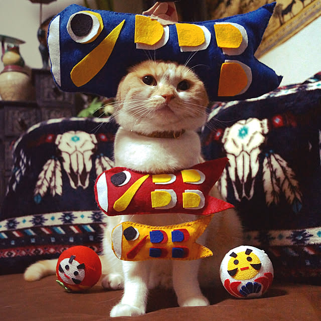 kobakissaさんの実例写真