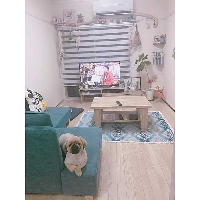 sakiさんの実例写真