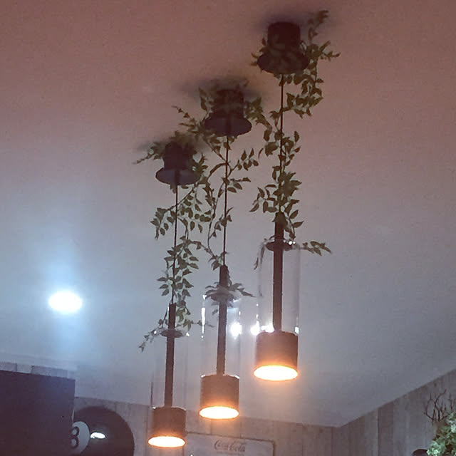 雑貨/DIY/男前/観葉植物/照明...などのインテリア実例 - 2019-03-19 22:42:01