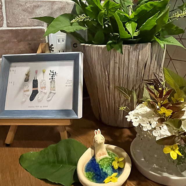 cotaさんの部屋