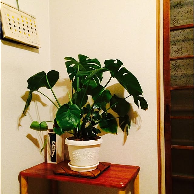 Mikan...necoさんの実例写真