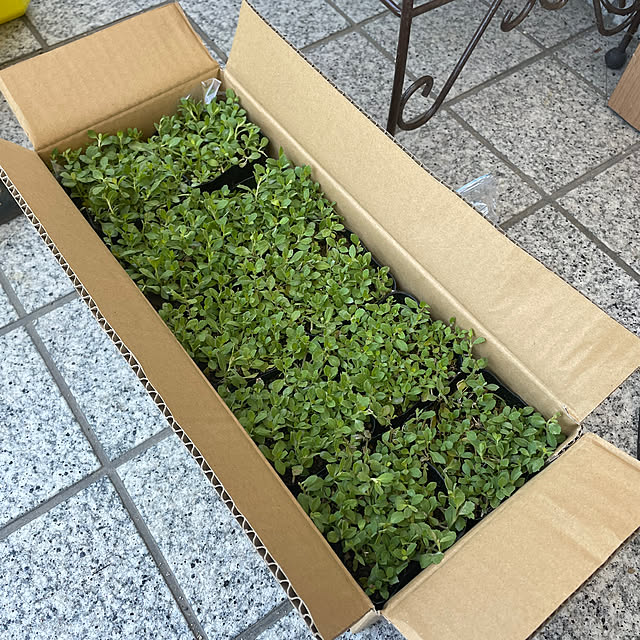 AcchanSaysさんの実例写真