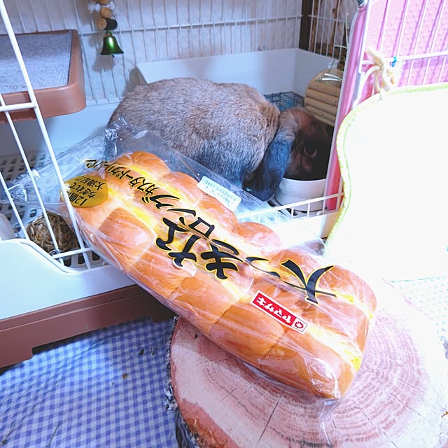 mariaさんの部屋
