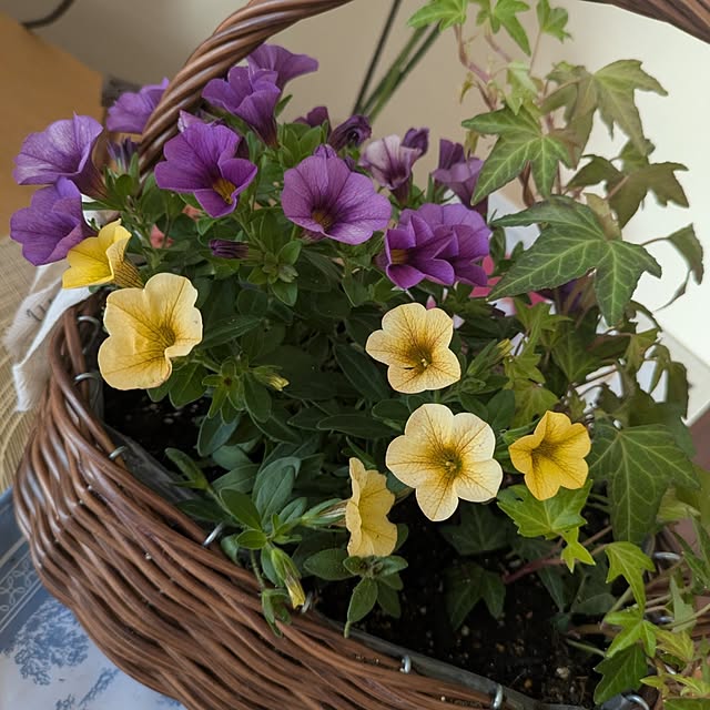 yukkoさんの部屋