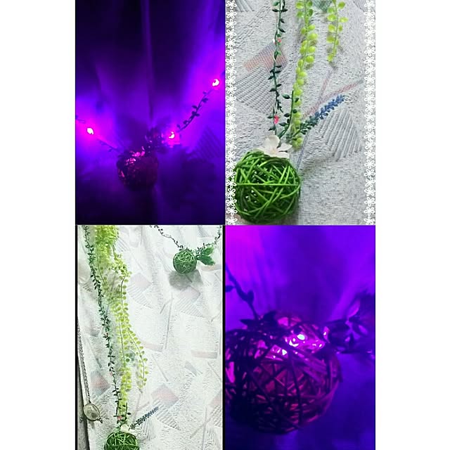 greenery-monsteraさんの実例写真