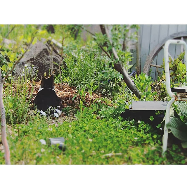 yukiさんの実例写真