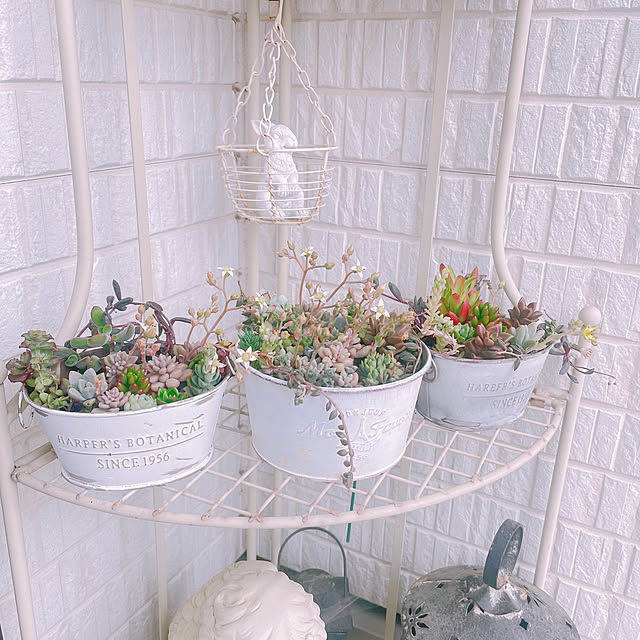 akiko-ovさんの部屋