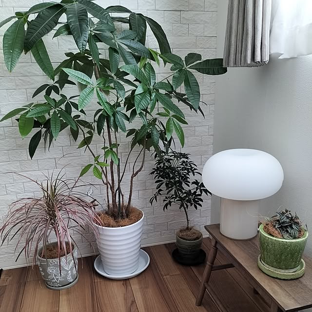 coco0.84.さんの部屋