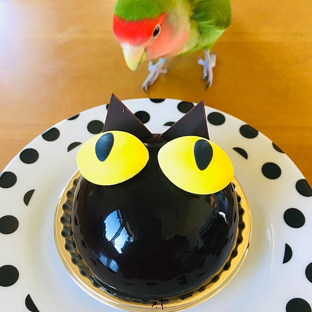 ダイソー 食器/ダイソー/インコのいる暮らし/インコと暮らす家/ハロウィンスイーツ...などのインテリア実例 - 2020-10-31 14:44:25