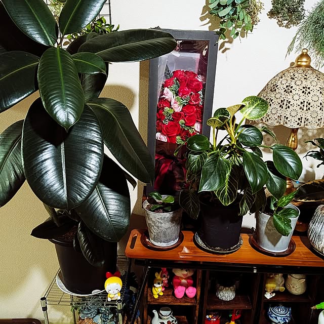 umeboshicyanさんの部屋