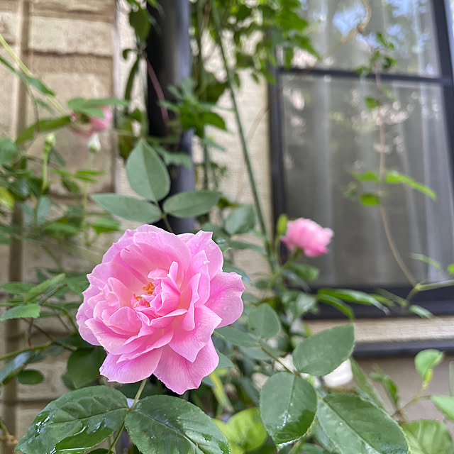 natsumiさんの実例写真