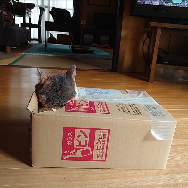 fukuさんの部屋