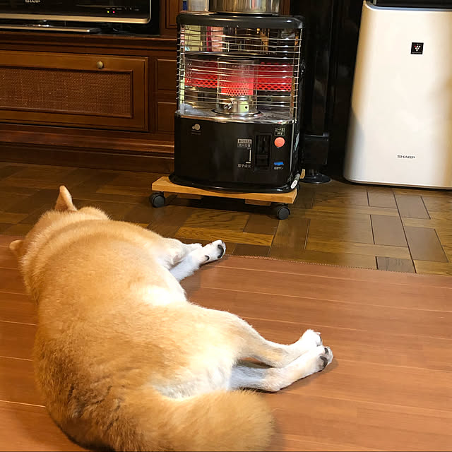 naru.miku.720さんの実例写真