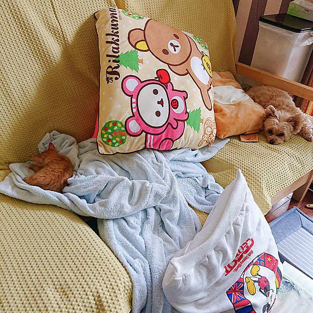 kikiさんの実例写真