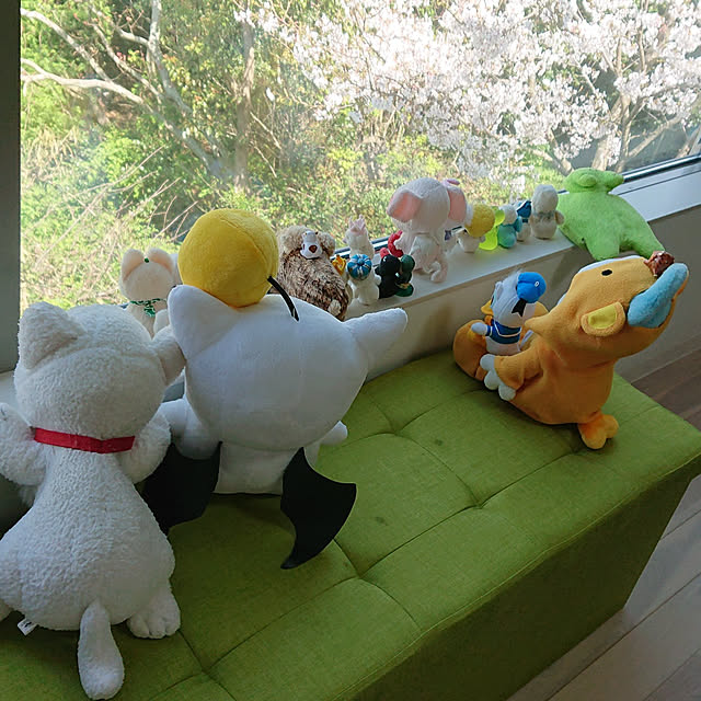 kikoさんの実例写真
